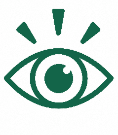 Vision Icon
